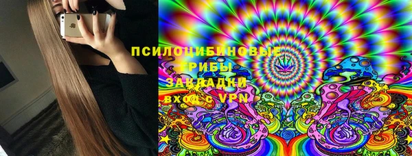 индика Балабаново