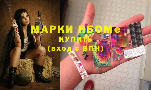 индика Балабаново