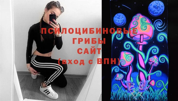 СК Балахна