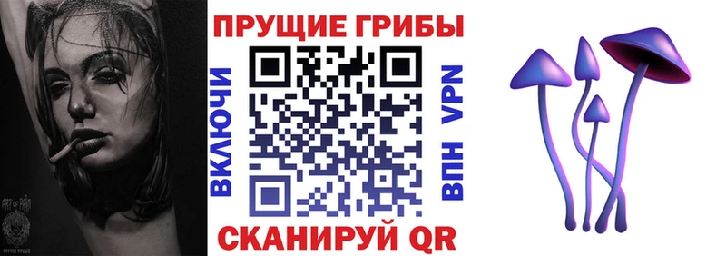 где можно купить   Туринск  kraken вход  Галлюциногенные грибы прущие грибы 